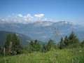 IMG_1594 - 640 x 480 - 41910 Bytes